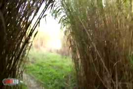 Dog.xxx.www.video.com.