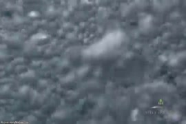 Video xxx manusia binatang