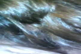 Indian sexvideodownloadgallery