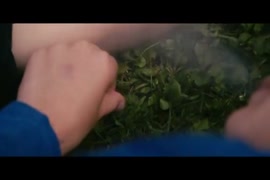 Www.anusakasexvideo.com