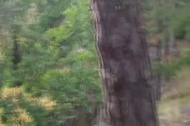 Villagedeshixnxx