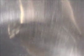 Xxxx video sel band