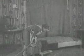 Video raja bokep.