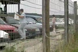 Wapdam sex horse girl video com