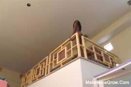 Top sex biap vidio downlod.com