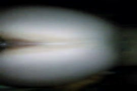 Milk hot sona picture sanny