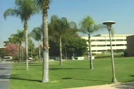 Xxx vidios americannaughti