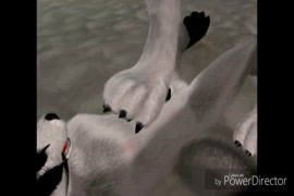 Desipunjabisex