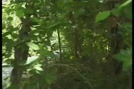 Pakitani sex videos download 3gp