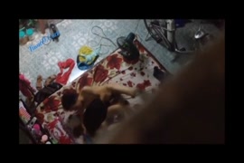 Hydirabadi telugu hindu sex nxxxn porun video3gp downloding