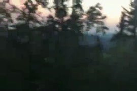 Vidobokep smp