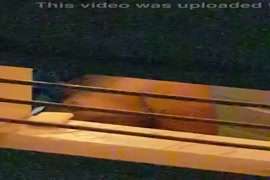 Www.download bokep lucah vuclip video melayu.com