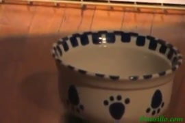 Dog sex video downlode